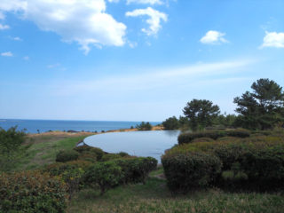 国営ひたち海浜公園はネモフィラの青い丘も良いけど、コッチのエリアは人もいないから　ゆっくり出来ていいね。
